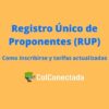 Registro único de proponentes en Colombia
