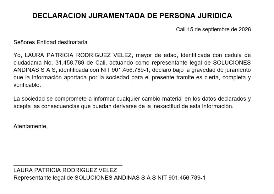 declaracion persona juridica