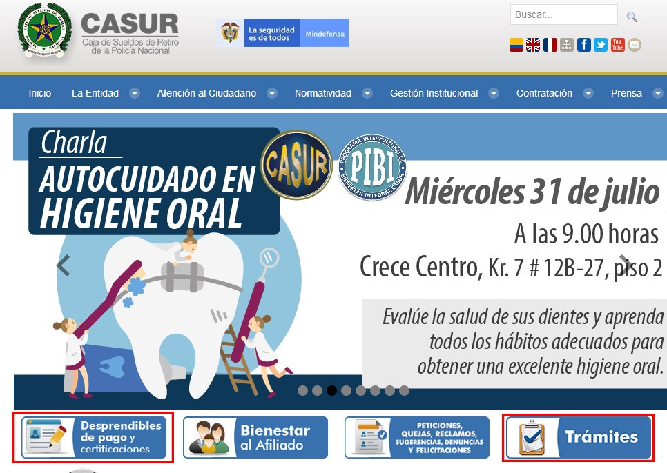 Vista previa del portal web de Casur