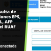RUAF: Consulta de afiliaciones por Internet