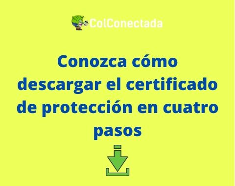 Solicitar certificado en Protección