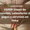 Fopep: Calendarios de pagos y consultas en línea