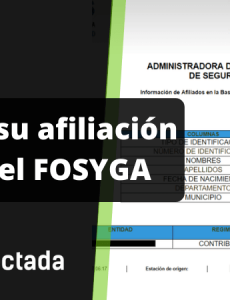 Consulta de afiliados a salud en Fosyga (ADRES)