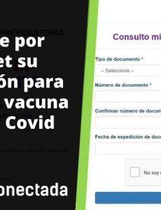 Mi Vacuna: Cómo consultar cuándo será vacunado contra el Covid-19