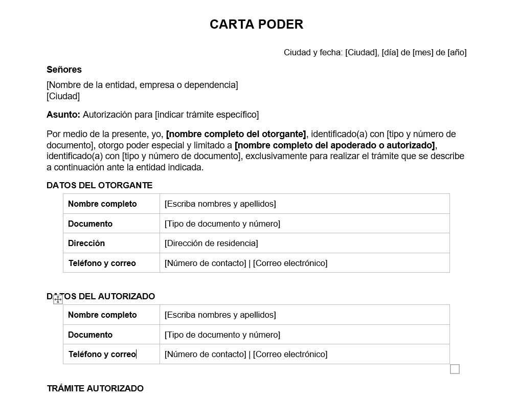 Plantilla: Carta de poder