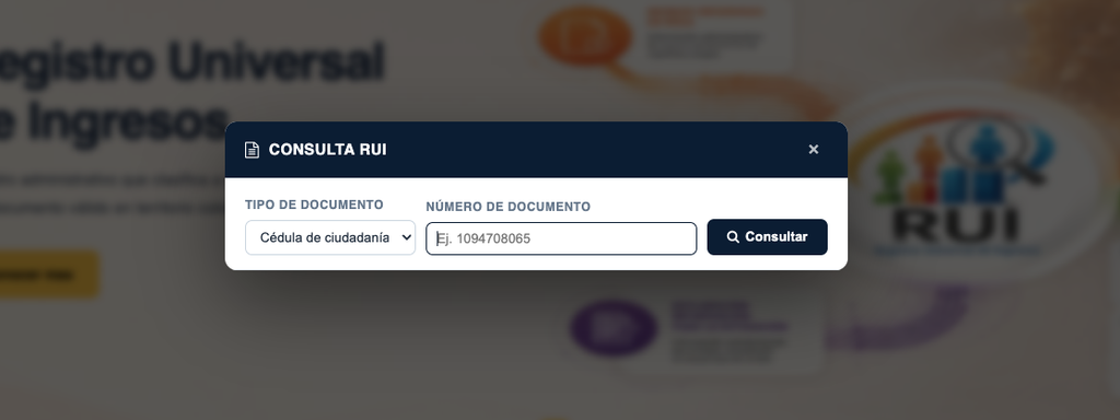 fomrulario para consultar el RUI con documento